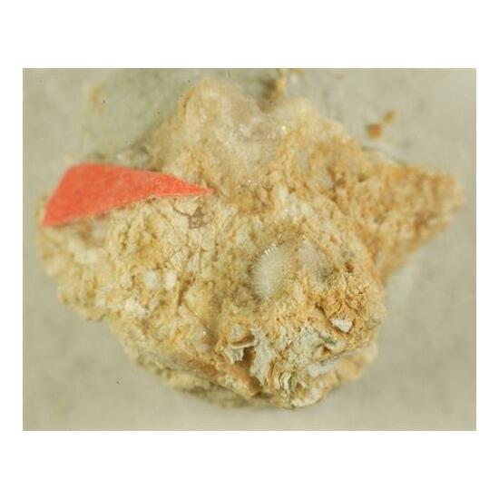 Kottenheimite