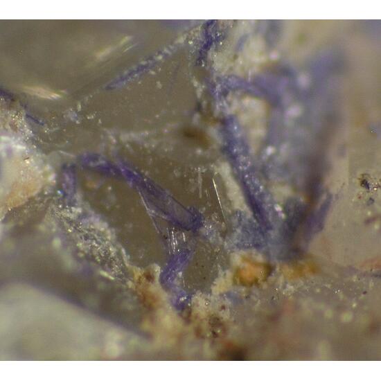 Elyite & Caledonite