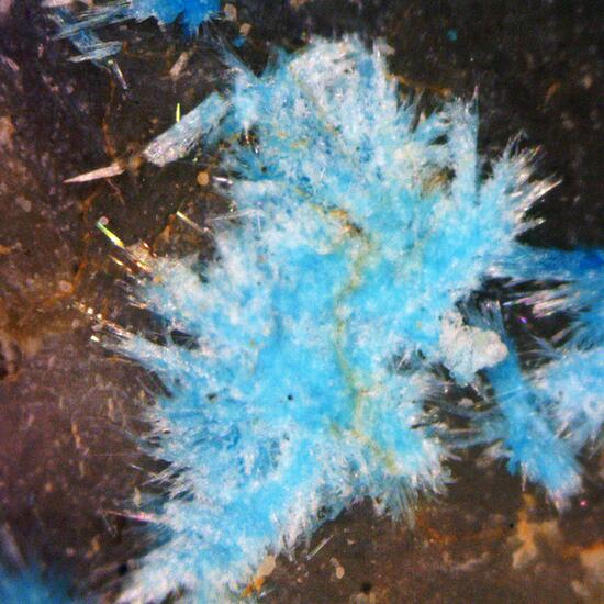 Aurichalcite