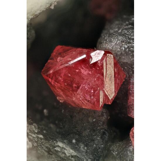 Eudialyte