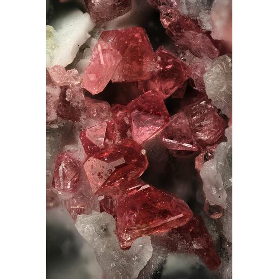 Eudialyte