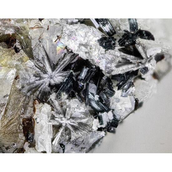 Monteregianite-(Y)