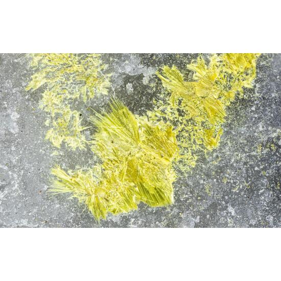 Ferrimolybdite
