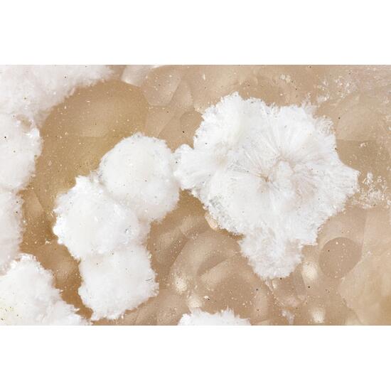 Shinichengite & Imayoshiite