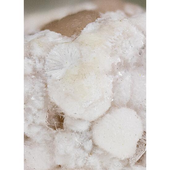 Shinichengite & Imayoshiite