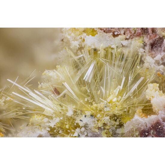 Achyrophanite