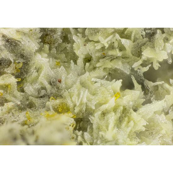 Bakakinite