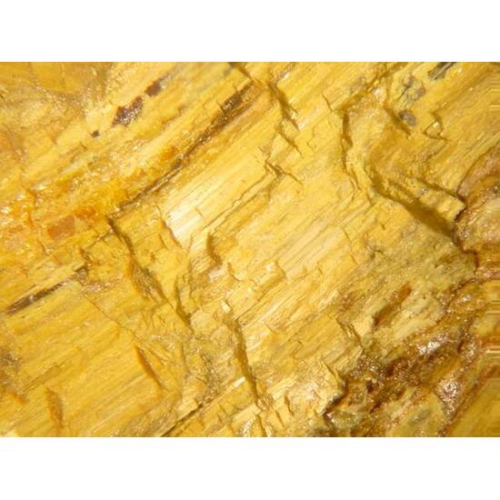 Bindheimite Psm Stibnite