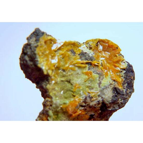 Stolzite & Pyromorphite