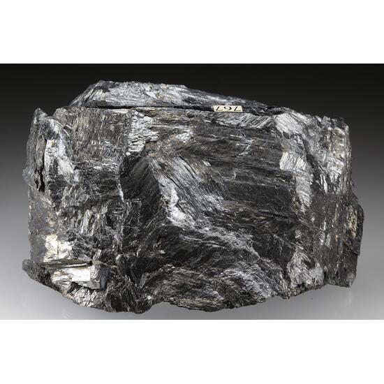 Falkmanite