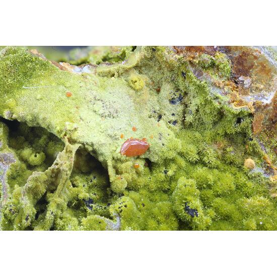 Crocoite & Pyromorphite