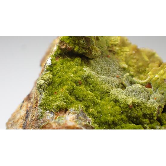 Crocoite & Pyromorphite