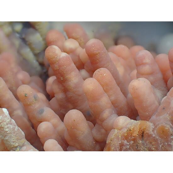 Chalcedony