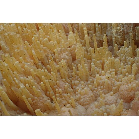 Chalcedony