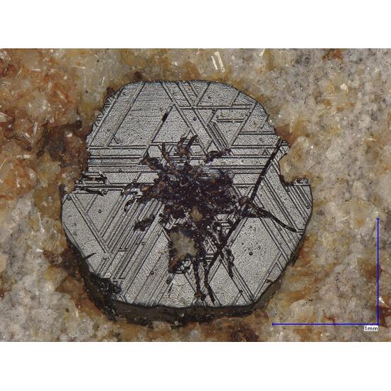 Osumilite