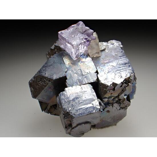 Galena & Fluorite