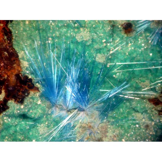 Cyanotrichite & Parnauite