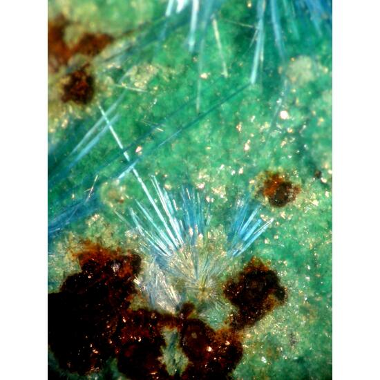 Cyanotrichite & Parnauite