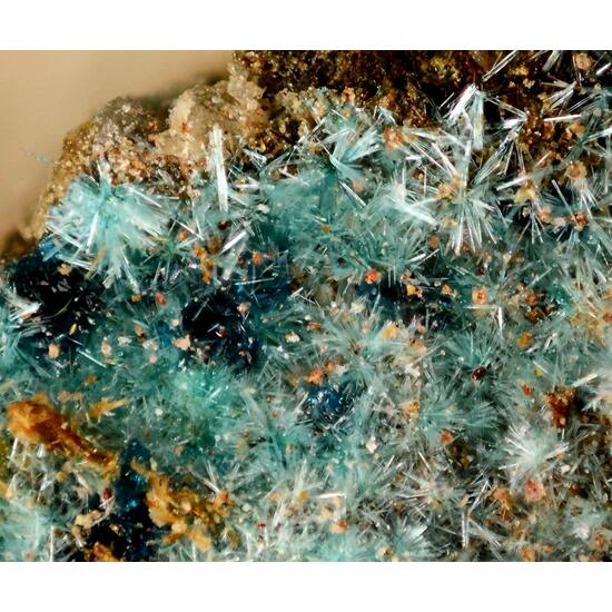 Davidbrownite-(NH4) & Antipinite