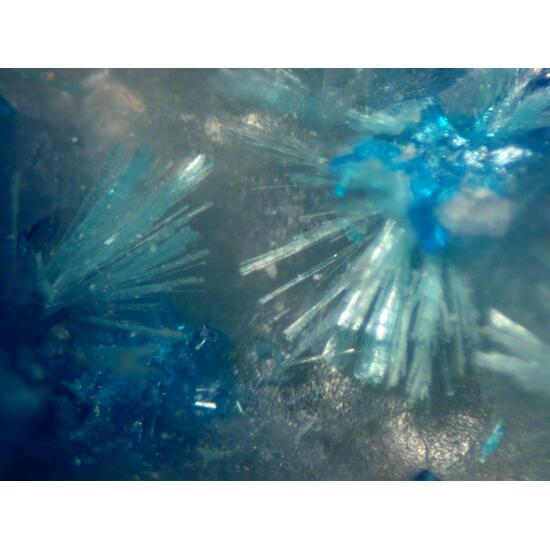 Papagoite & Ajoite