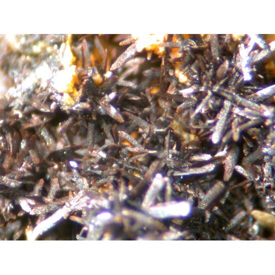 Brackebuschite