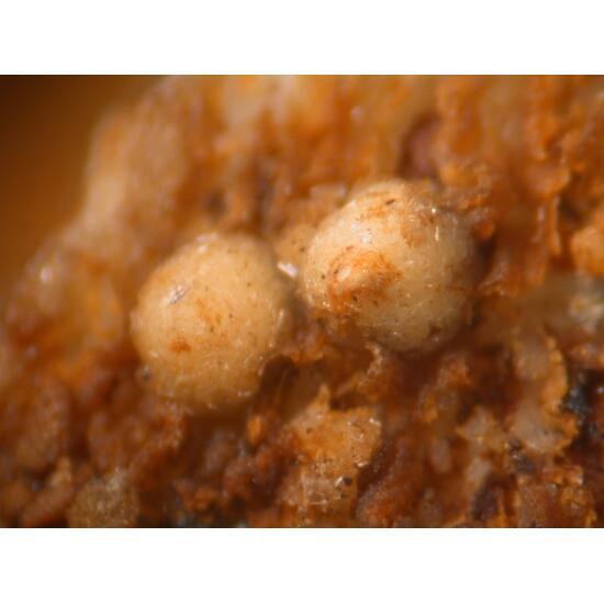 Foggite & Crandallite