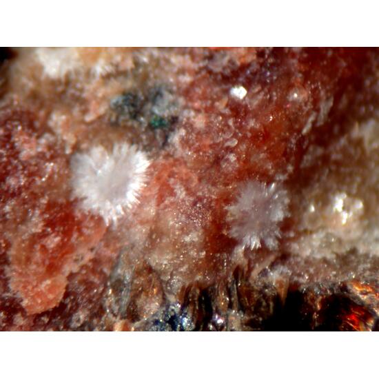 Larsenite
