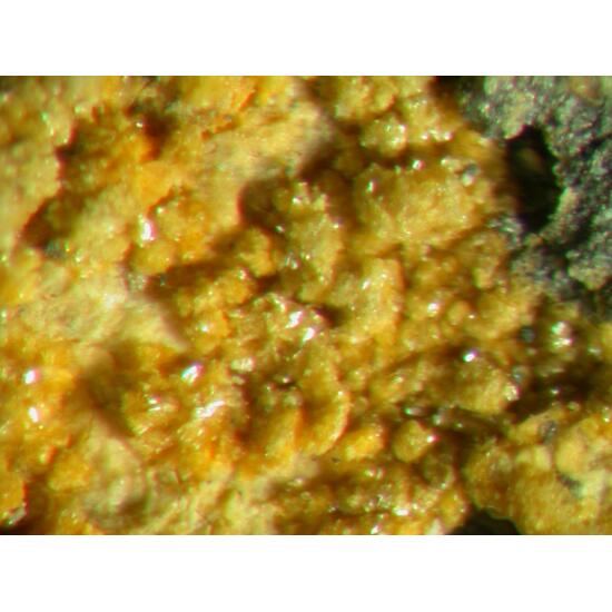 Deliensite