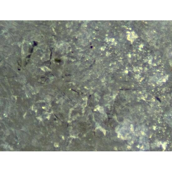 Lintisite Erdite & Eudialyte