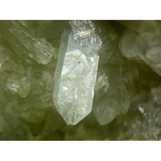 Tunellite