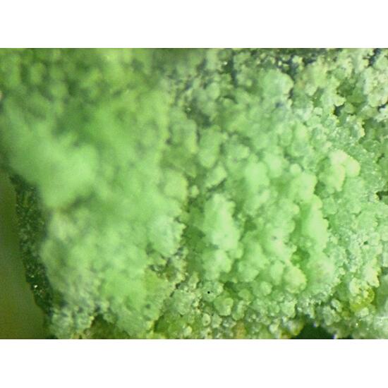 Retgersite