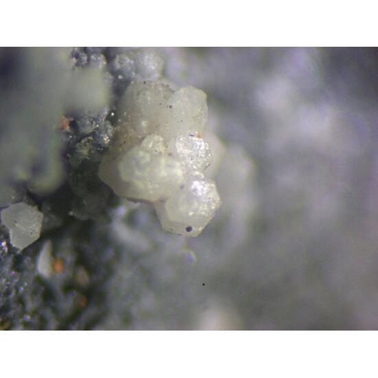 Aphthitalite