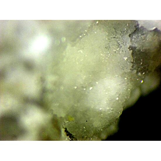 Švenekite