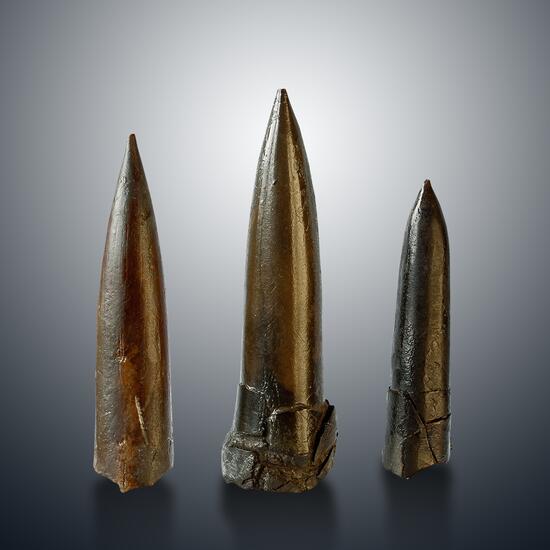 Fossil
