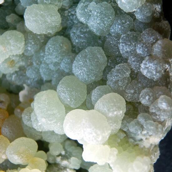 Talc
