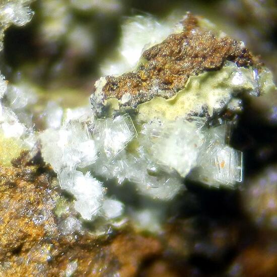 Montgomeryite