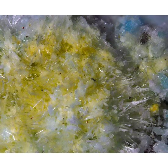 Oppenheimerite & Fermiite