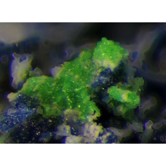 Dmisokolovite & Bradaczekite