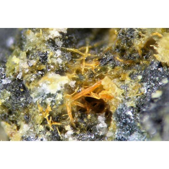Lazarenkoite