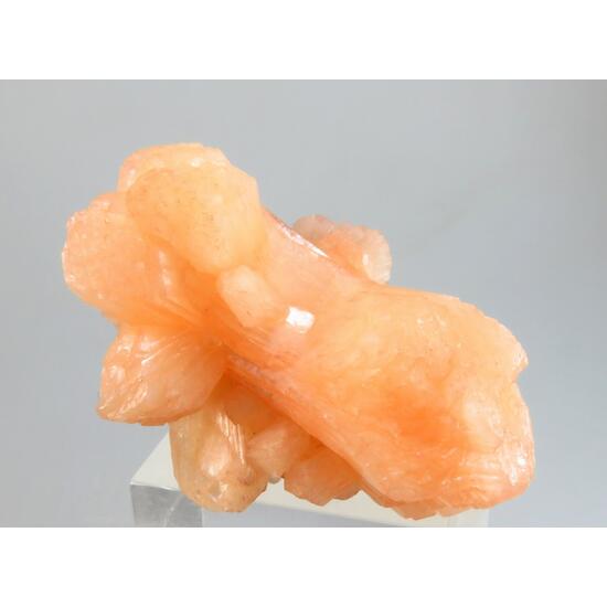 Stellerite