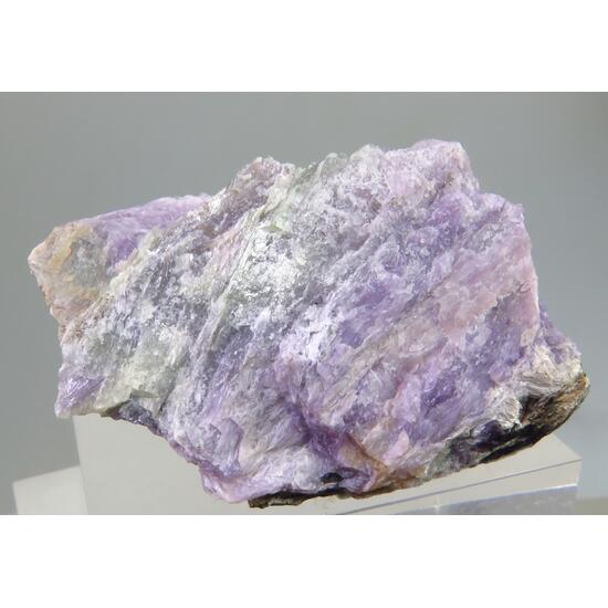 Frankamenite & Charoite