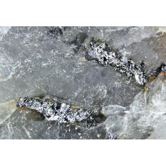 Neyite