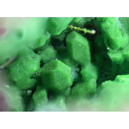 Kaliochalcite Psm Euchlorine