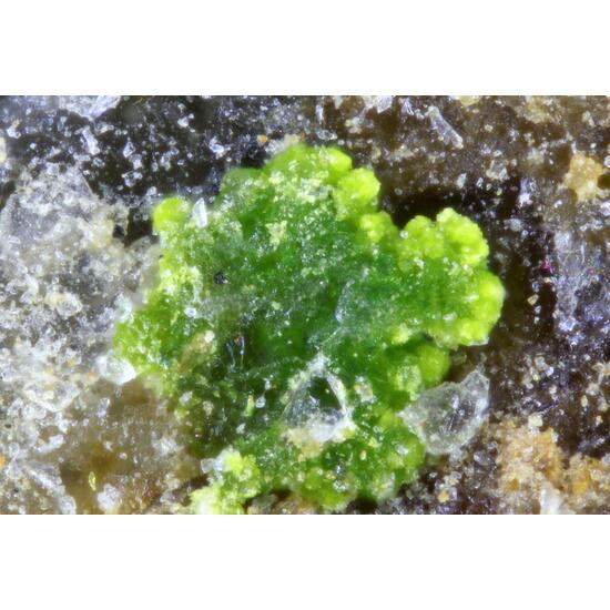 Pseudojohannite