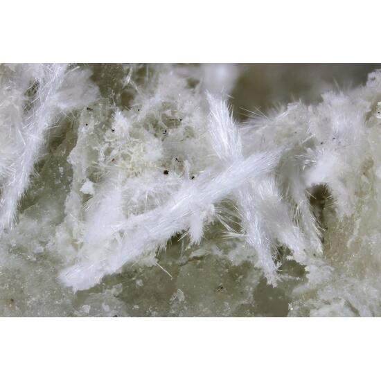 Kasatkinite