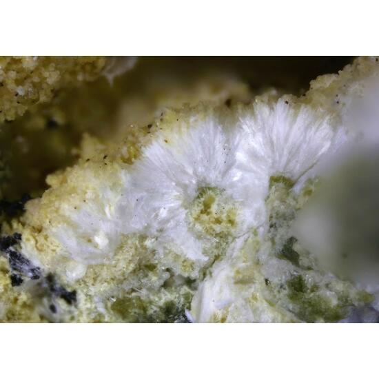 Ferrierite-Na