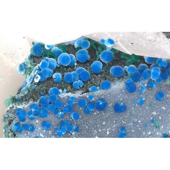 Connellite & Langite