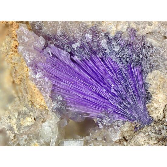 Elyite