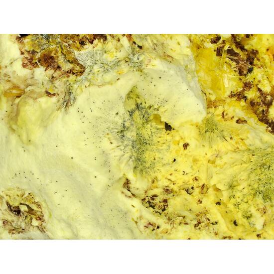 Becquerelite Fourmarierite & Urancalcarite