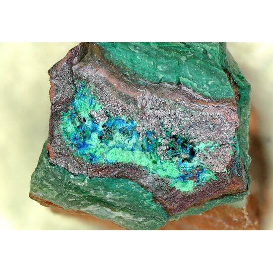 Connellite Cuprite & Brochantite